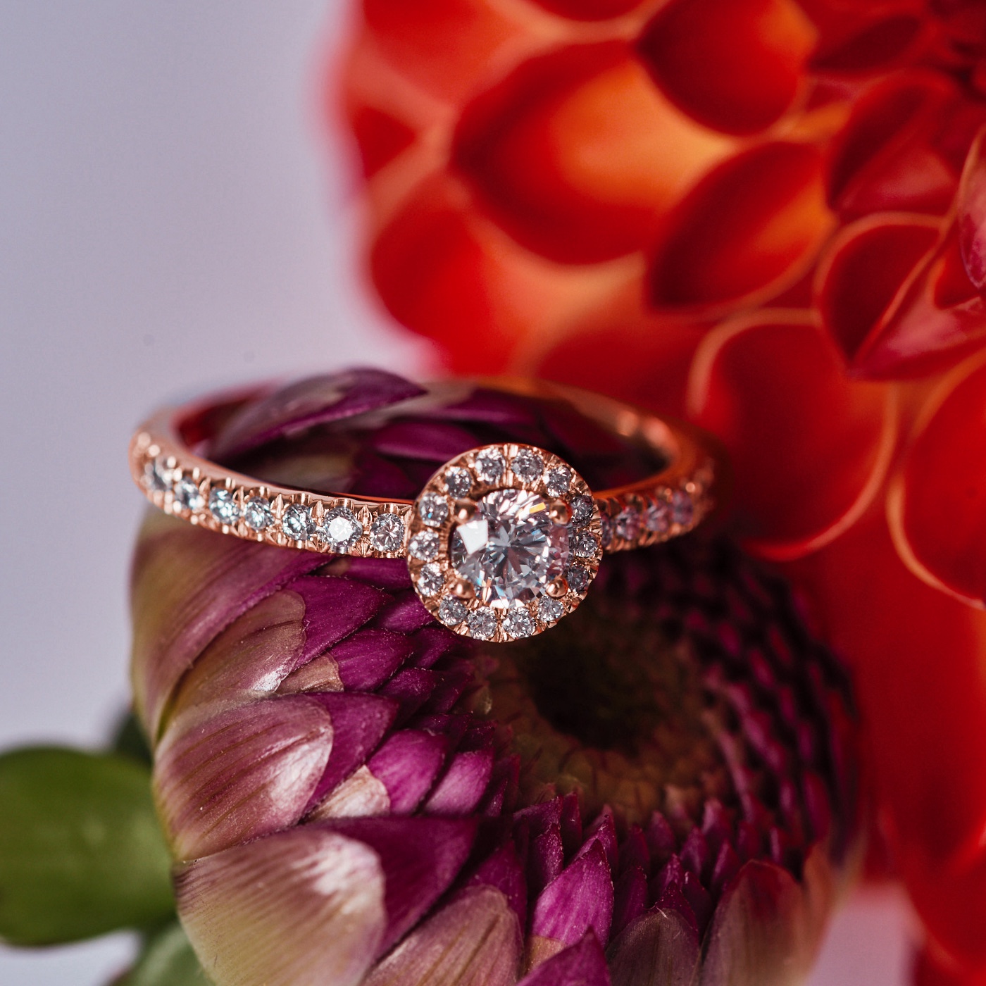 Pave rose gold engagement ring hotsell